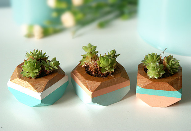 02 geometric mini planters