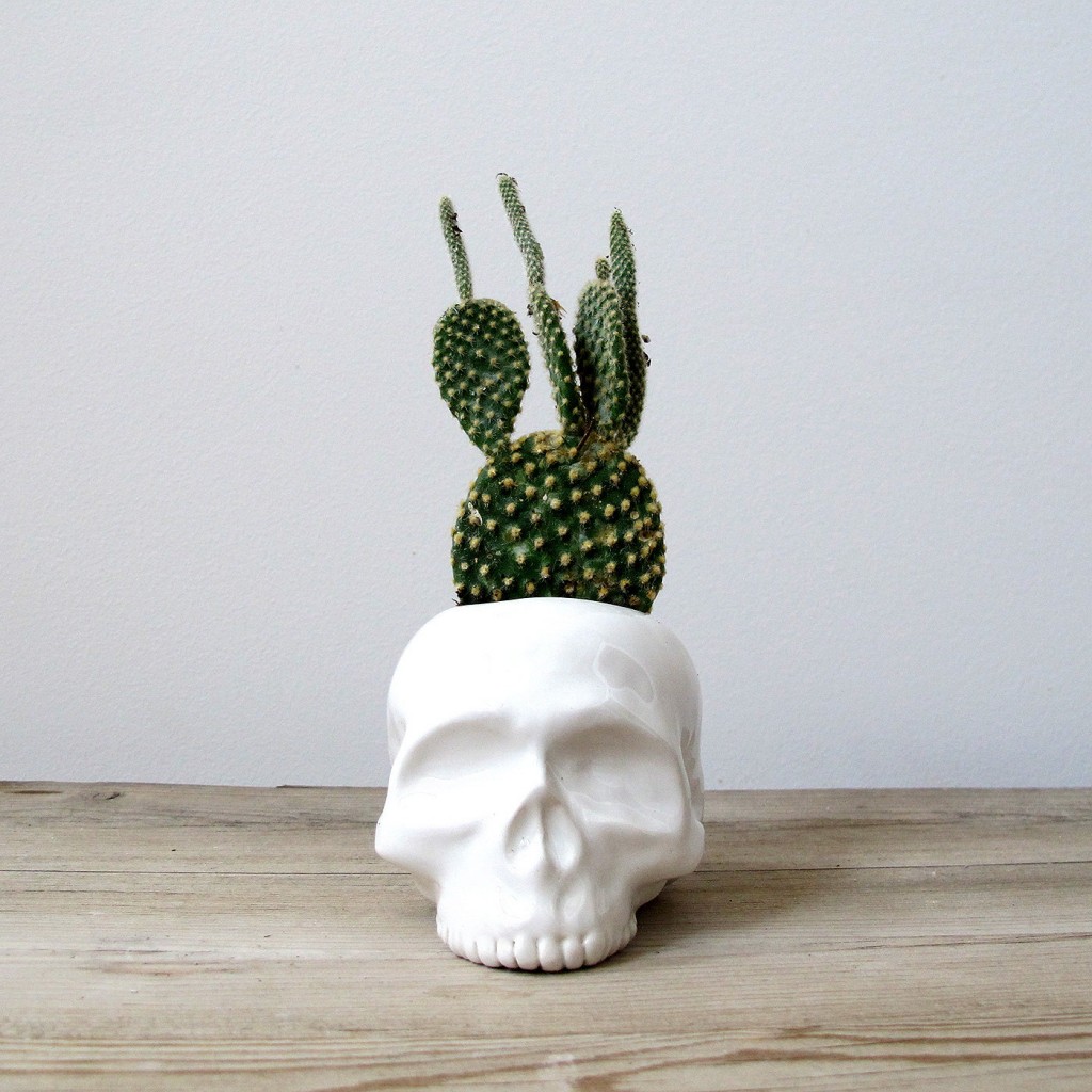 03 Ceramic Skull Planter