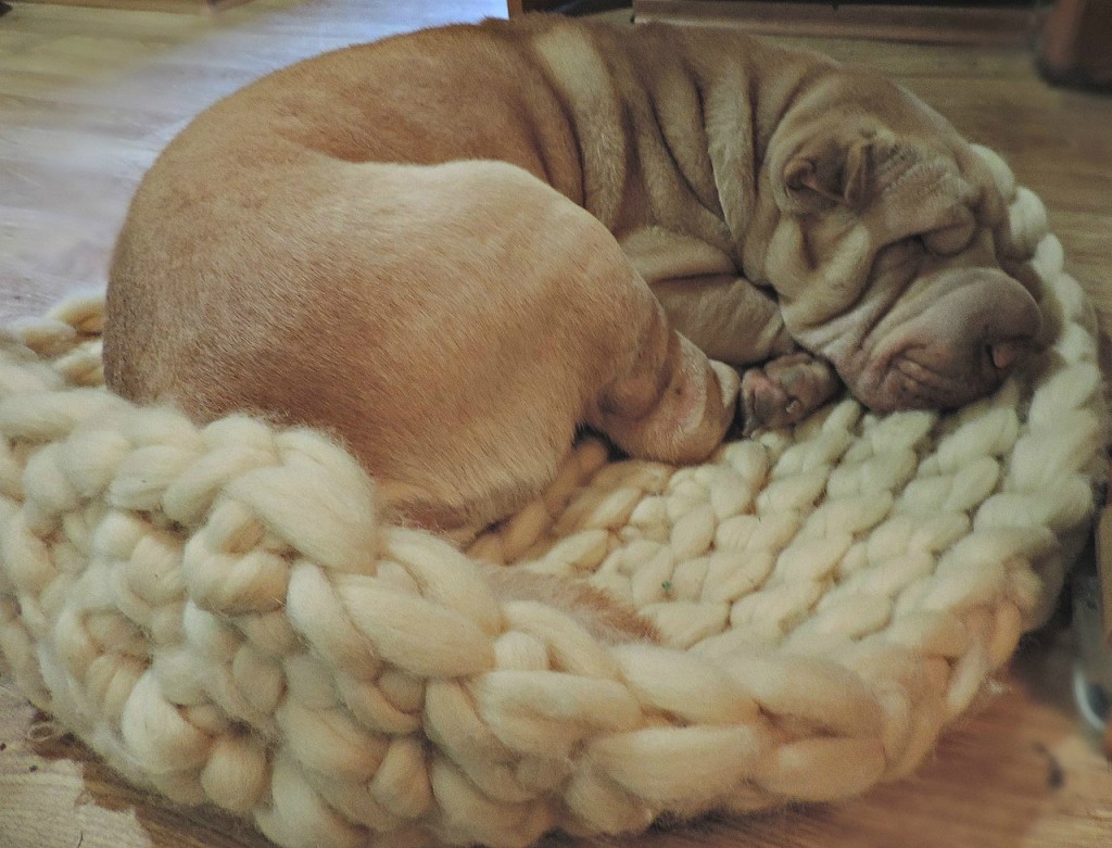 3 Dog Bed