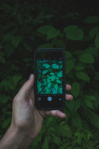 The-Definitive-Guide-To-Instagram-Etiquette-photo-via-unsplash-taking-photo-greenery